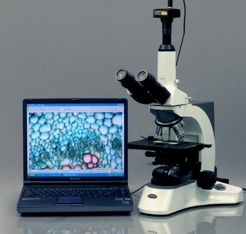 Amscope Mu500-Ck 5.0 Mp Usb Microscope Camera With Software And Calibration Kit, Compatible With Windows Xp/Vista/7/8/10 And Mac