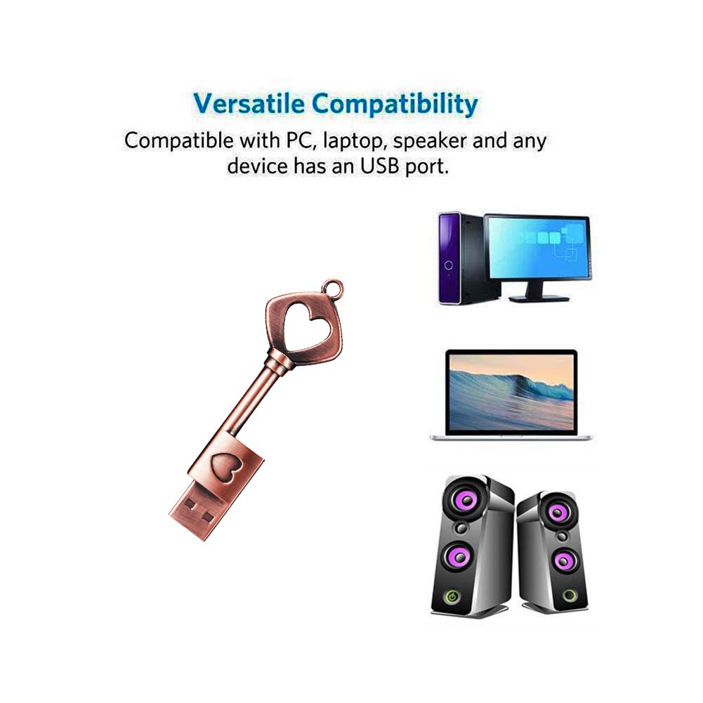 Garrulax Usb Flash Drive, 32Gb Usb2.0 Cute Shape Lovely Usb Memory Stick Date Storage Pendrive Thumb Drives (32Gb, 5Xheart Keys)