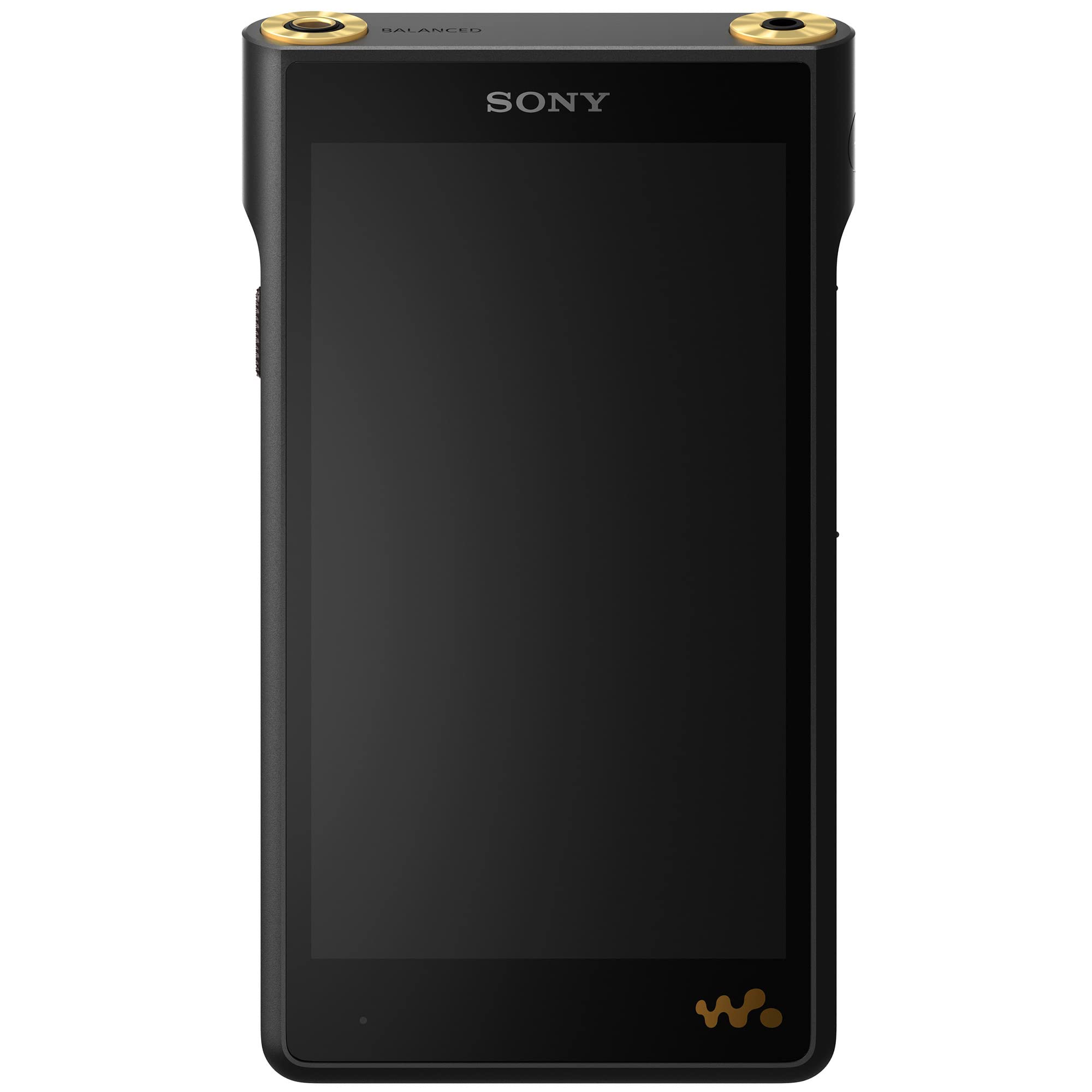 Sony NW WM1AM2 Hi Res 128GB Walkman Digital MP3 Music Player