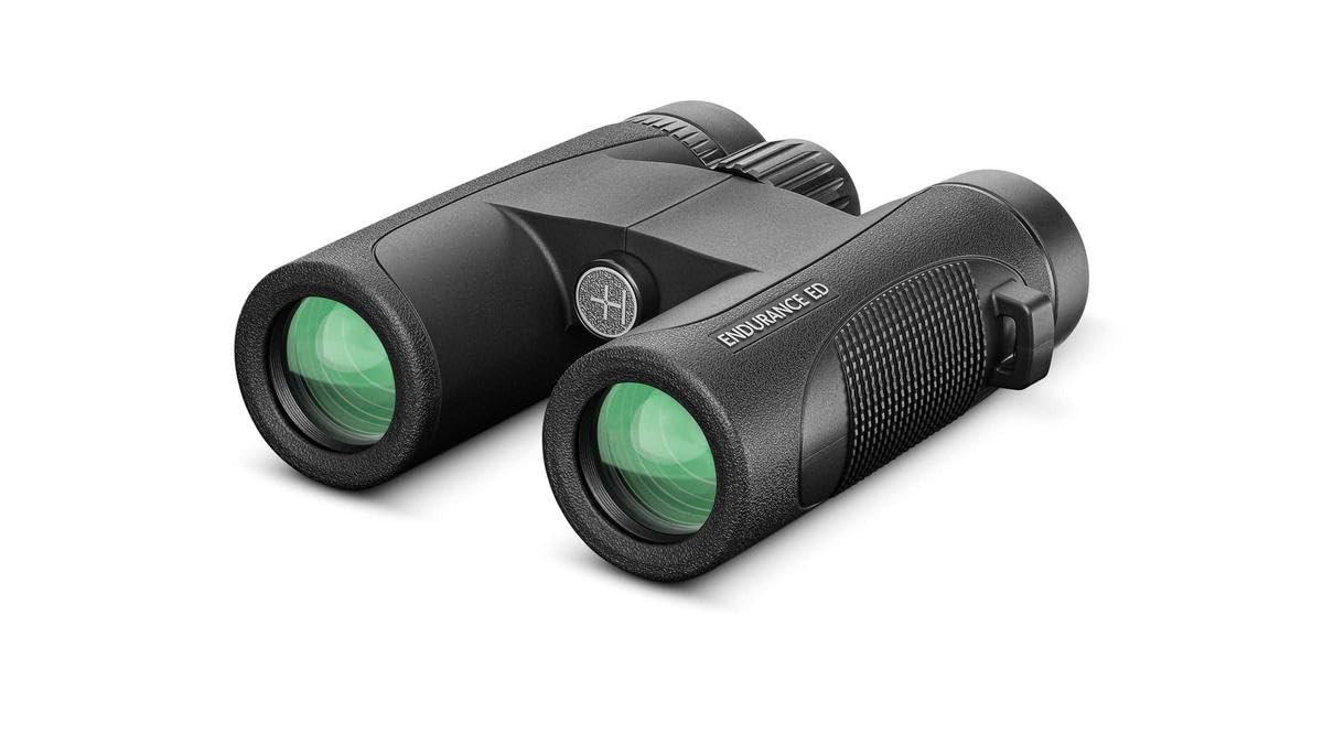 Endurance Ed Binoculars 8X32 Black
