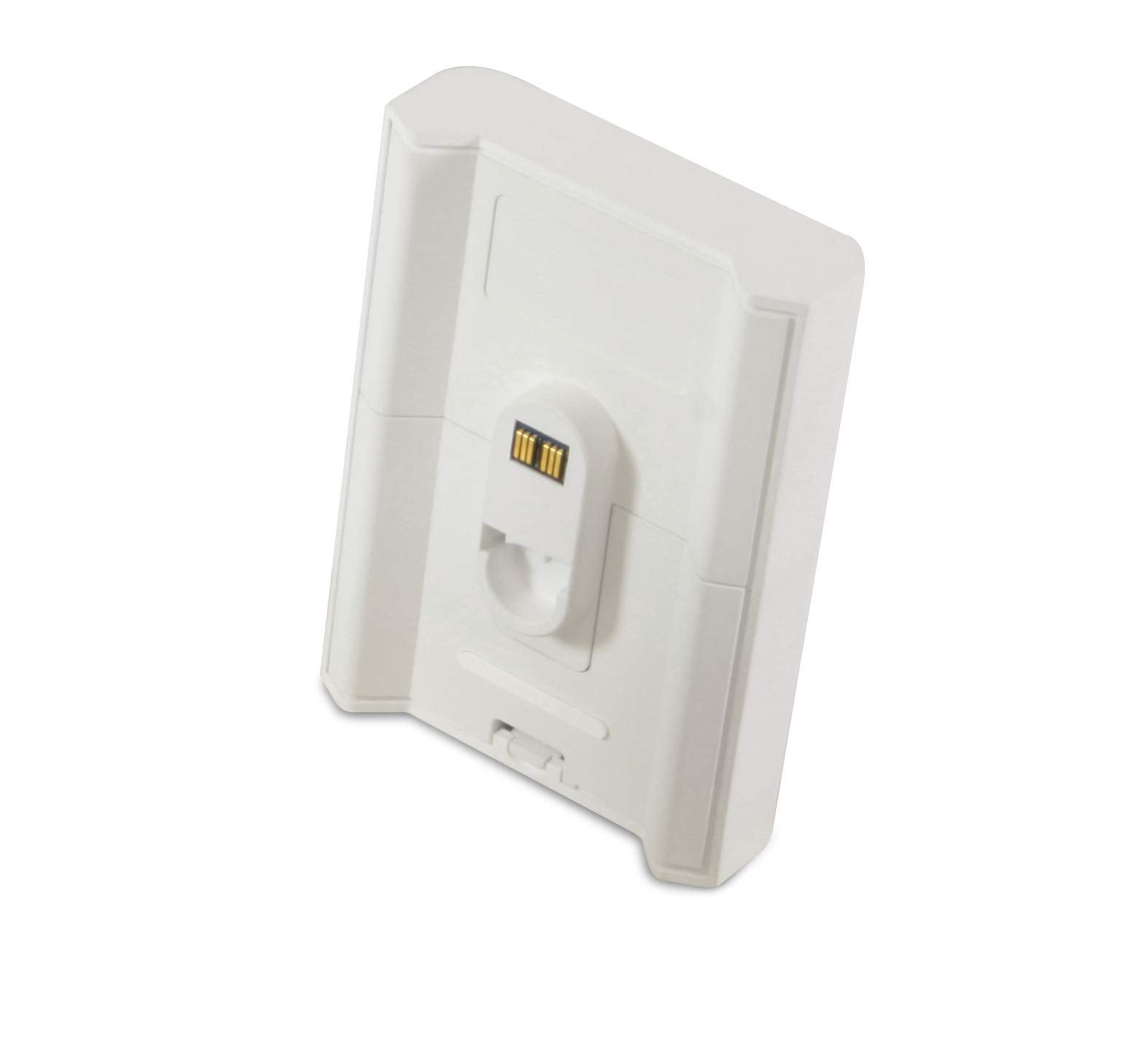 Bluesound Bp100 Battery Pack For Pulse Flex   White