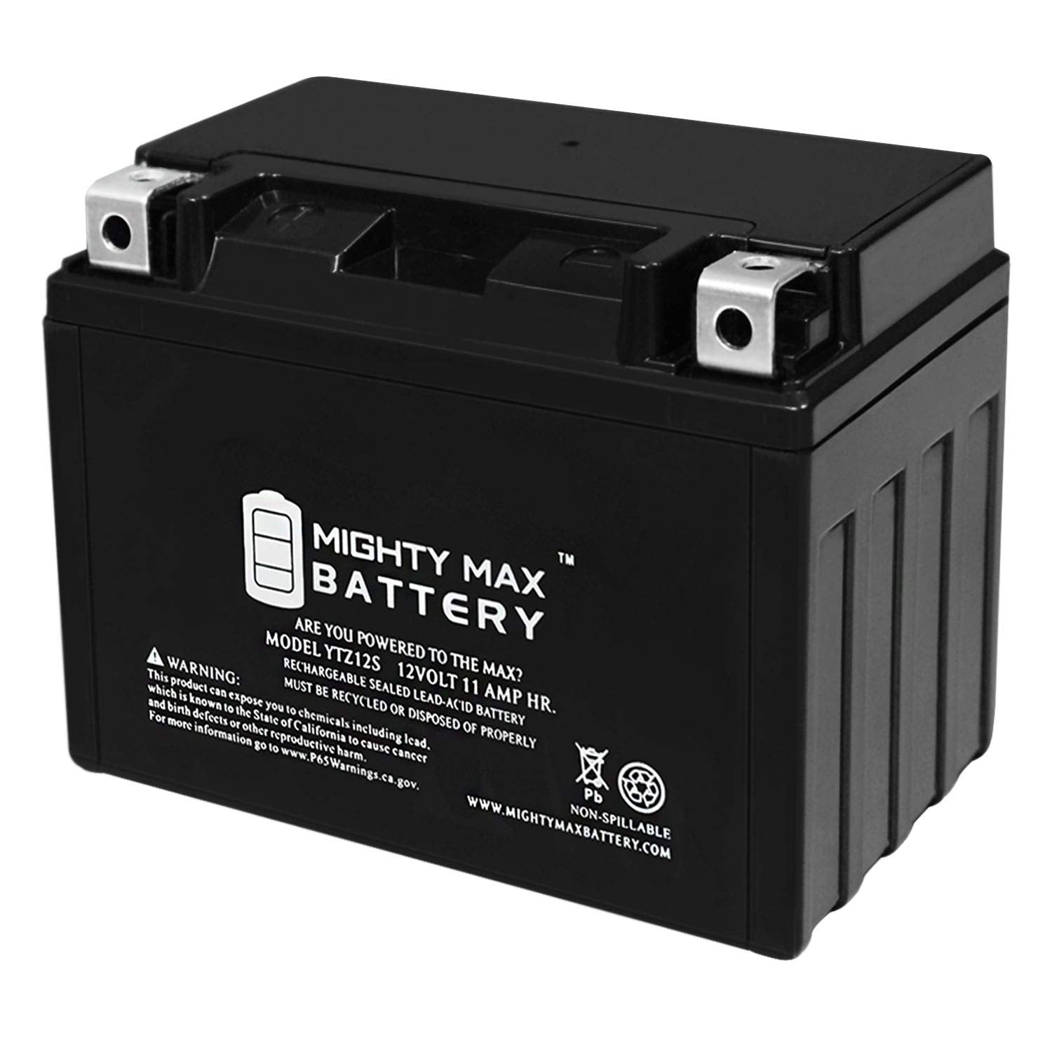 Mighty Max Battery YTZ12S -12 Volt 11 AH, 210 CCA, Rechargeable Maintenance Free SLA AGM Motorcycle Battery