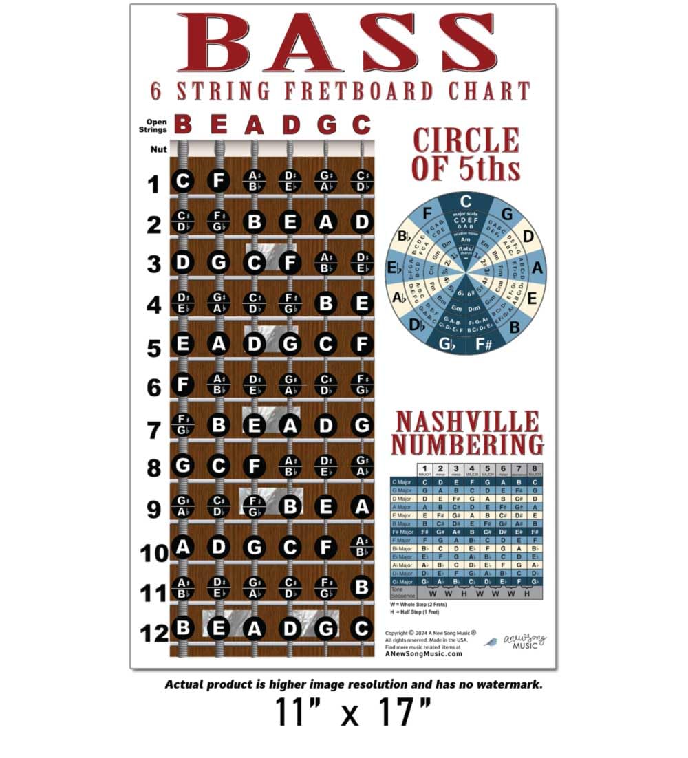 6 String Bass Fretboard Poster   Nashville Numbering System, Circle Of 5Ths, Notes Instructional Chart | A New Song Music | 11X1