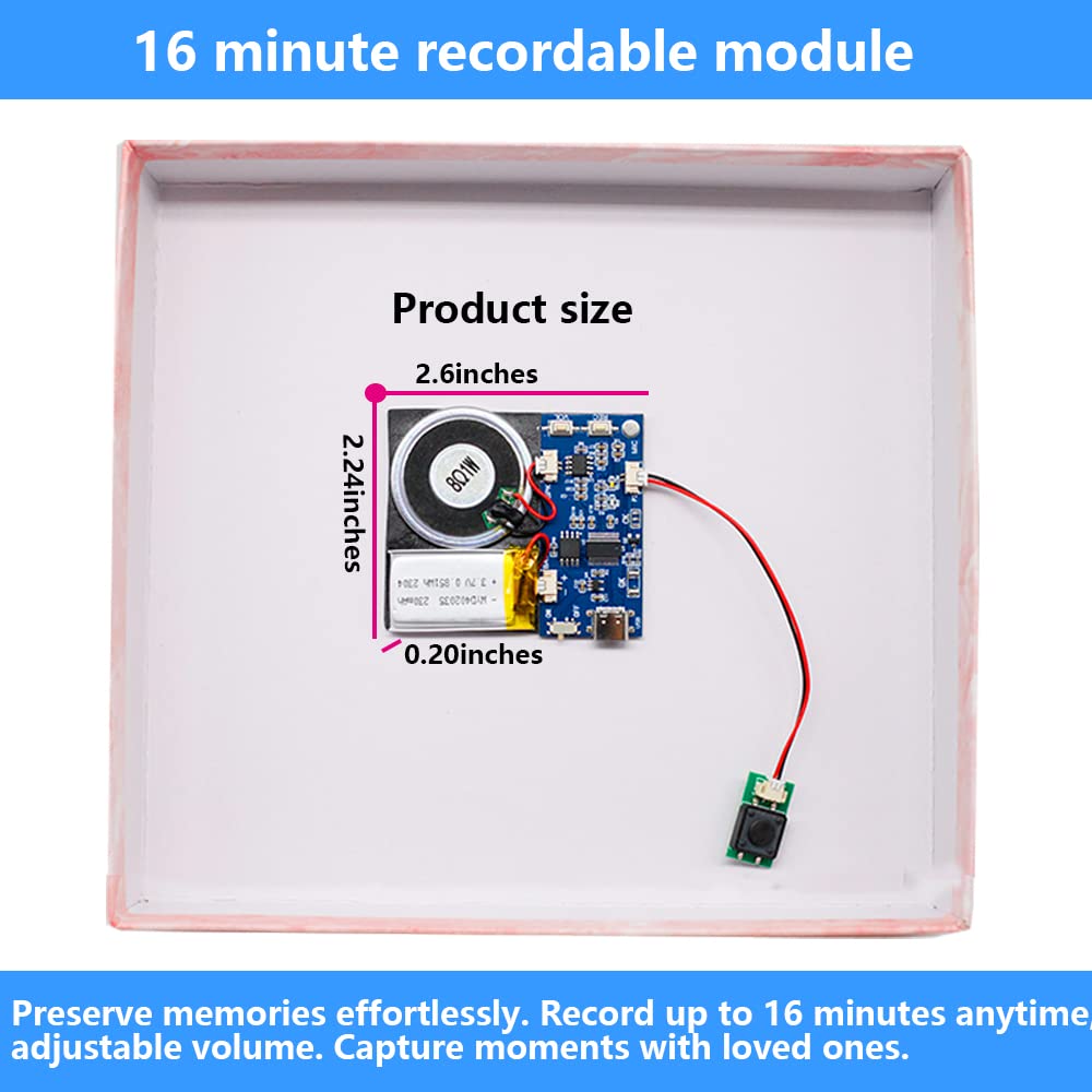 XLW Module - 16MB Push Button Activated Sound Module with Speaker, Type ...
