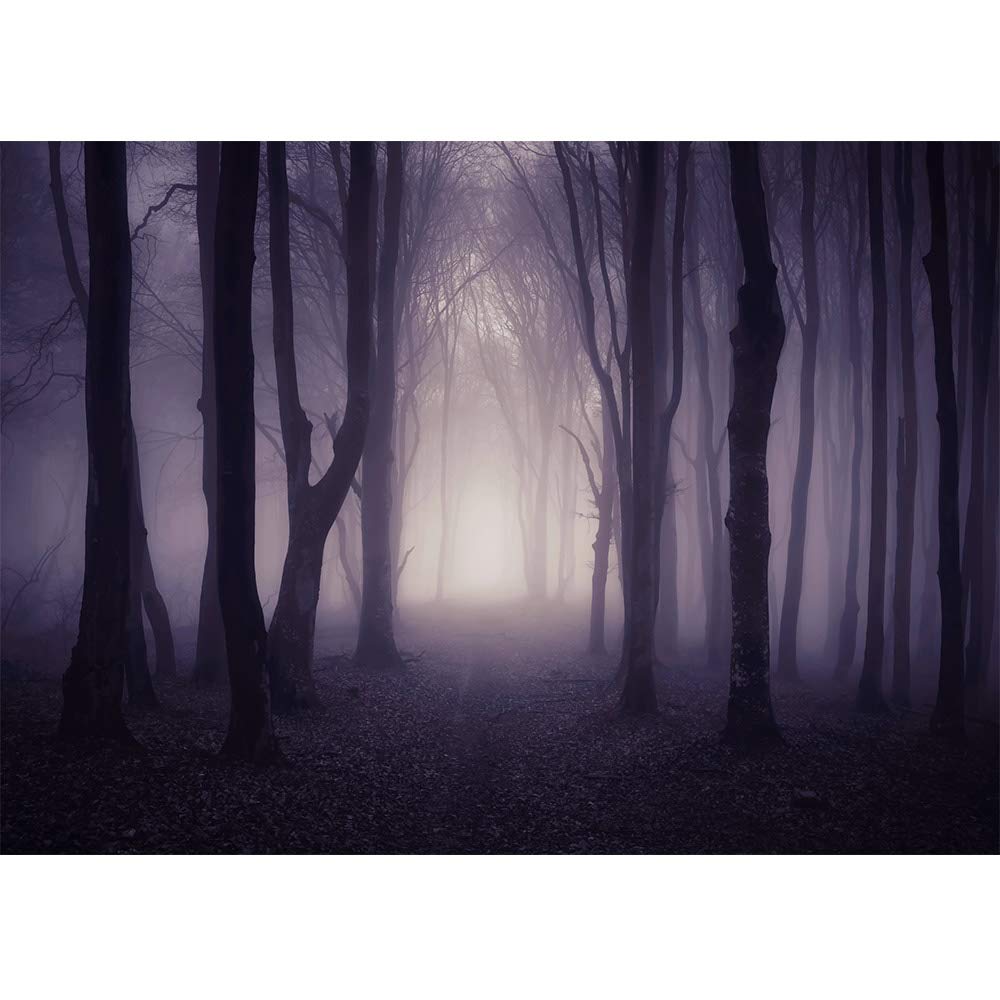 Allenjoy 7X5Ft Misty Dark Forest Woods Halloween Backdrop For Photography Gloomy Grove Mystery Background For Portrait Magic Witch Wizard Sorcerer Ghost Themed Party Banner Decors Photo Props