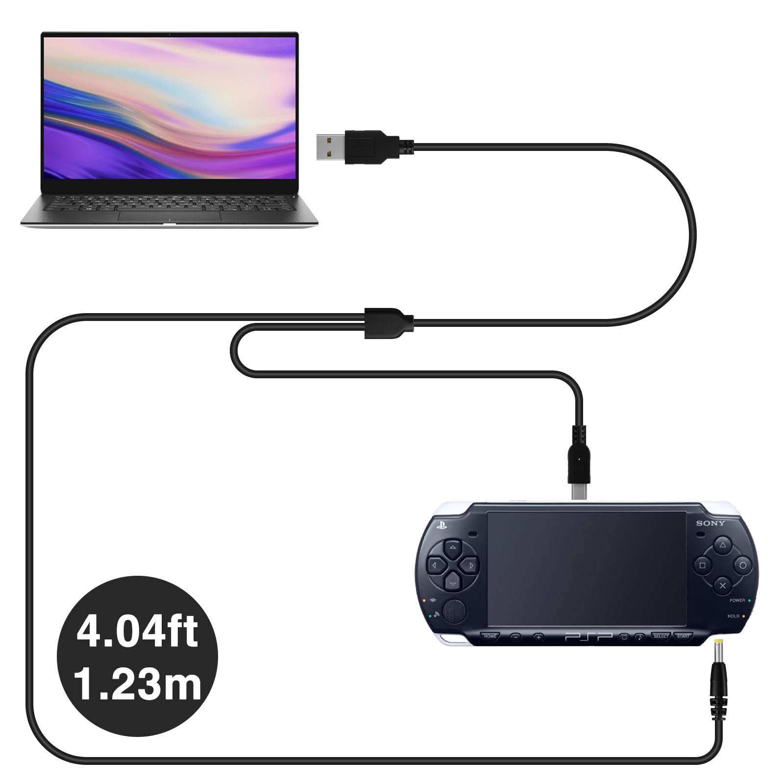 Pickle Power Psp 3000/2000 Battery With Psp Charger Cable For Psp 3000 / Psp Slim 2000 Psp S110,Psp 3001, Psp 3000, Psp 3002, Ps