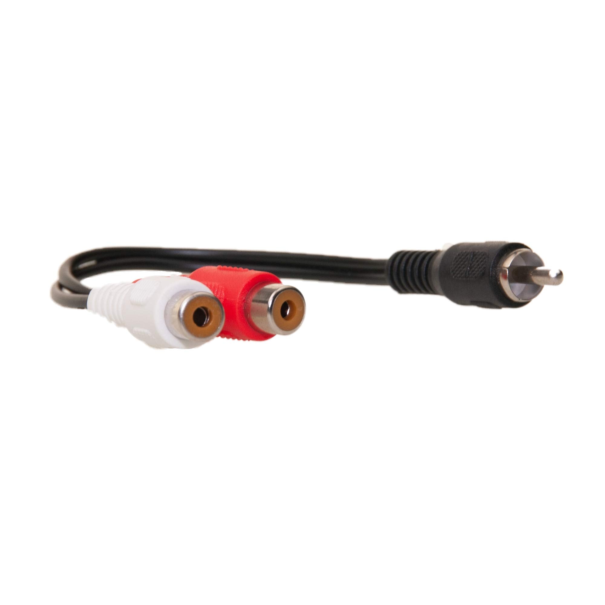 CableWholesale RCA Splitter/Adapter, RCA Male to Dual RCA Female, 6 inch