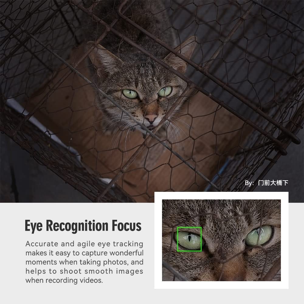 Ttartisan Af 27Mm F2.8 Auto Focus Lens Aps C Lenses For Sony E Mount Cameras A6700 A6600 A6500 A6300 A6100 Aps C Mode A9 Series