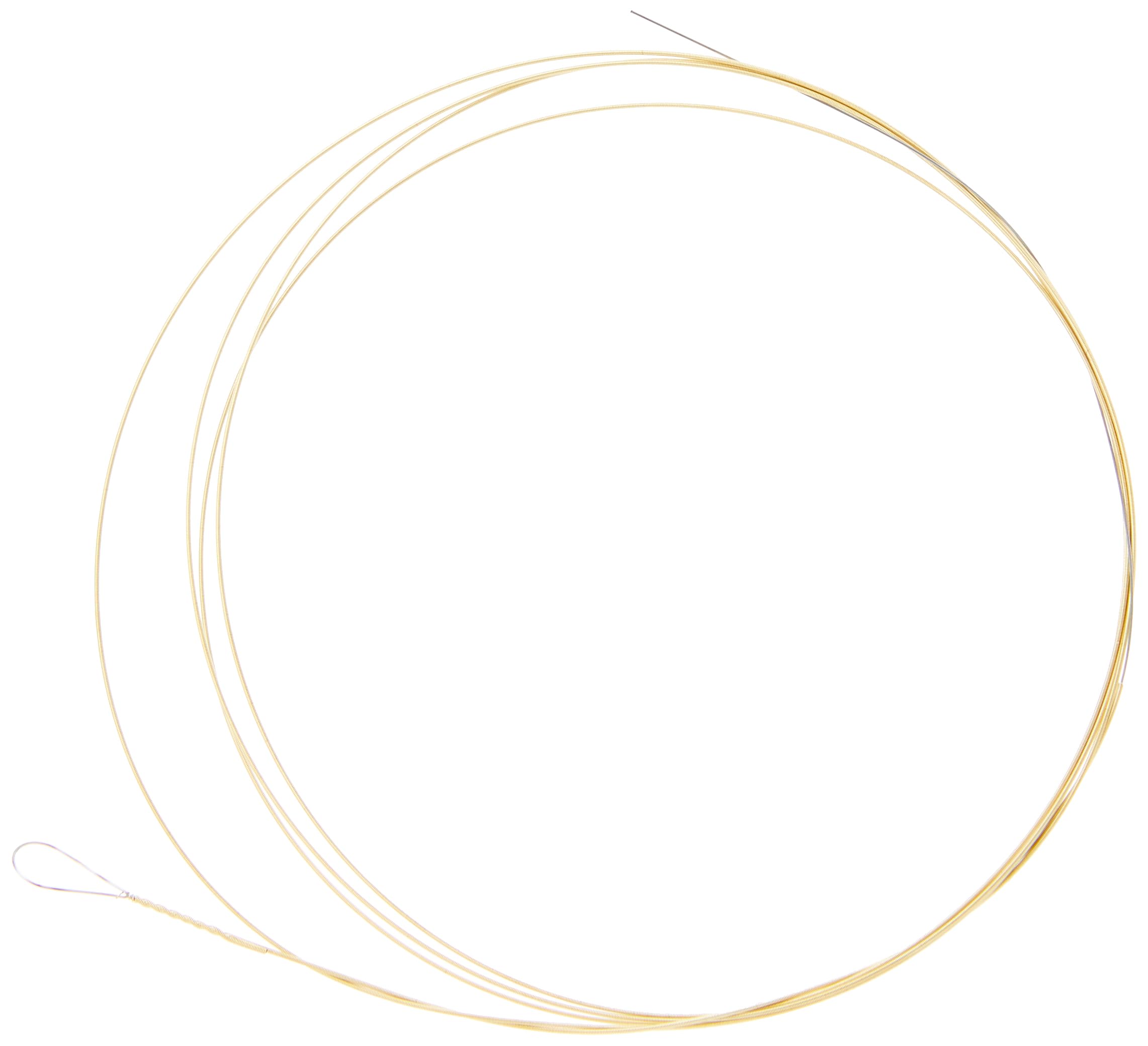 Ernie Ball Earthwood 5 String Bluegrass 80/20 Bronze Banjo Strings, 9 20 Gauge (P02063)