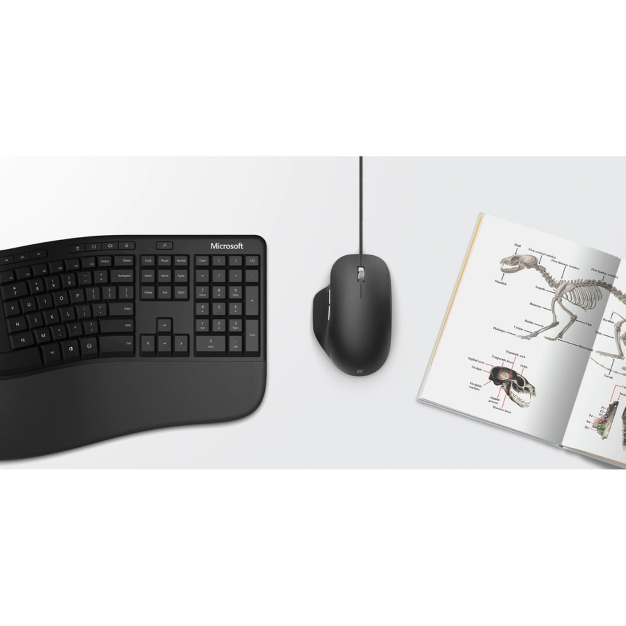 Microsoft Ergonomic Mouse Black   Comfortable Ergonomic Design And Thumb Rest Wired Usb Mouse With 2 Programmable Buttons, Works