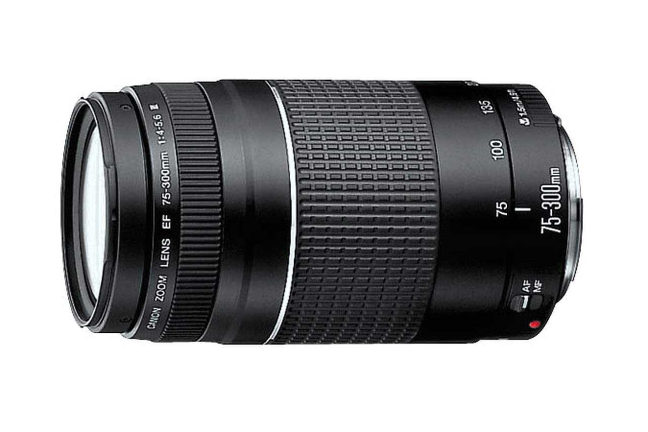 Canon Ef 75 300Mm F/4 5.6 Iii Telephoto Zoom Lens For Canon Slr Cameras