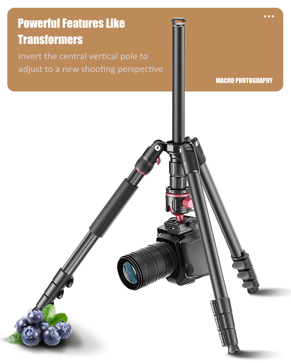 Cambofoto 74 Inch Professional Camera Photography Tripod, Ball Head Aluminum Dslr/Slr Tripod & Monopod With Carry Bag Compatible