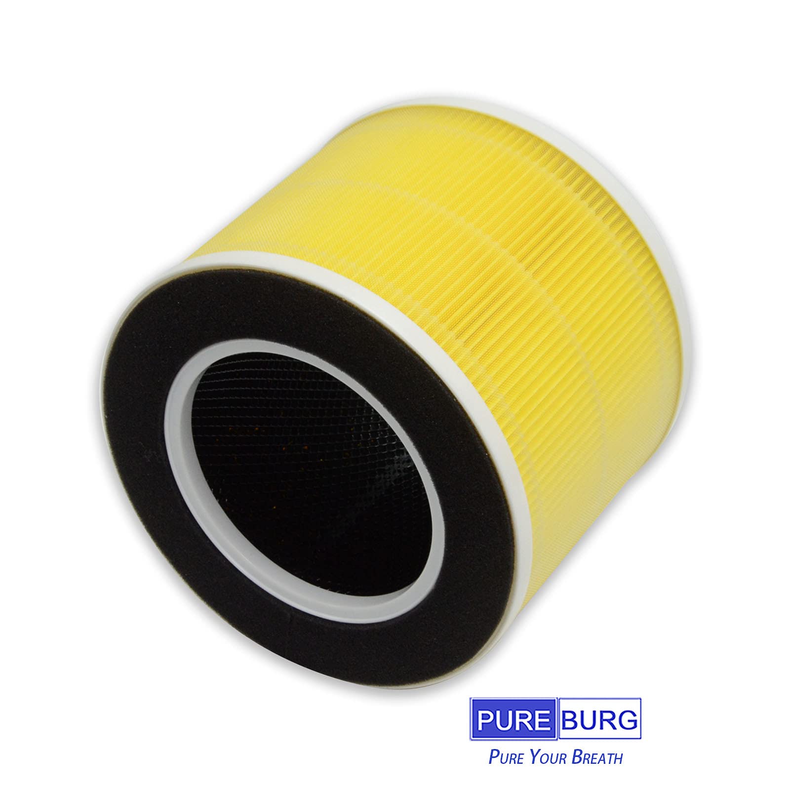 Pureburg Rp Ap088 Replacement True Hepa Filters Compatible With Renpho Rp Ap088 F1 Fits Rp Ap088W Rp Ap088B Medium Room Air Puri