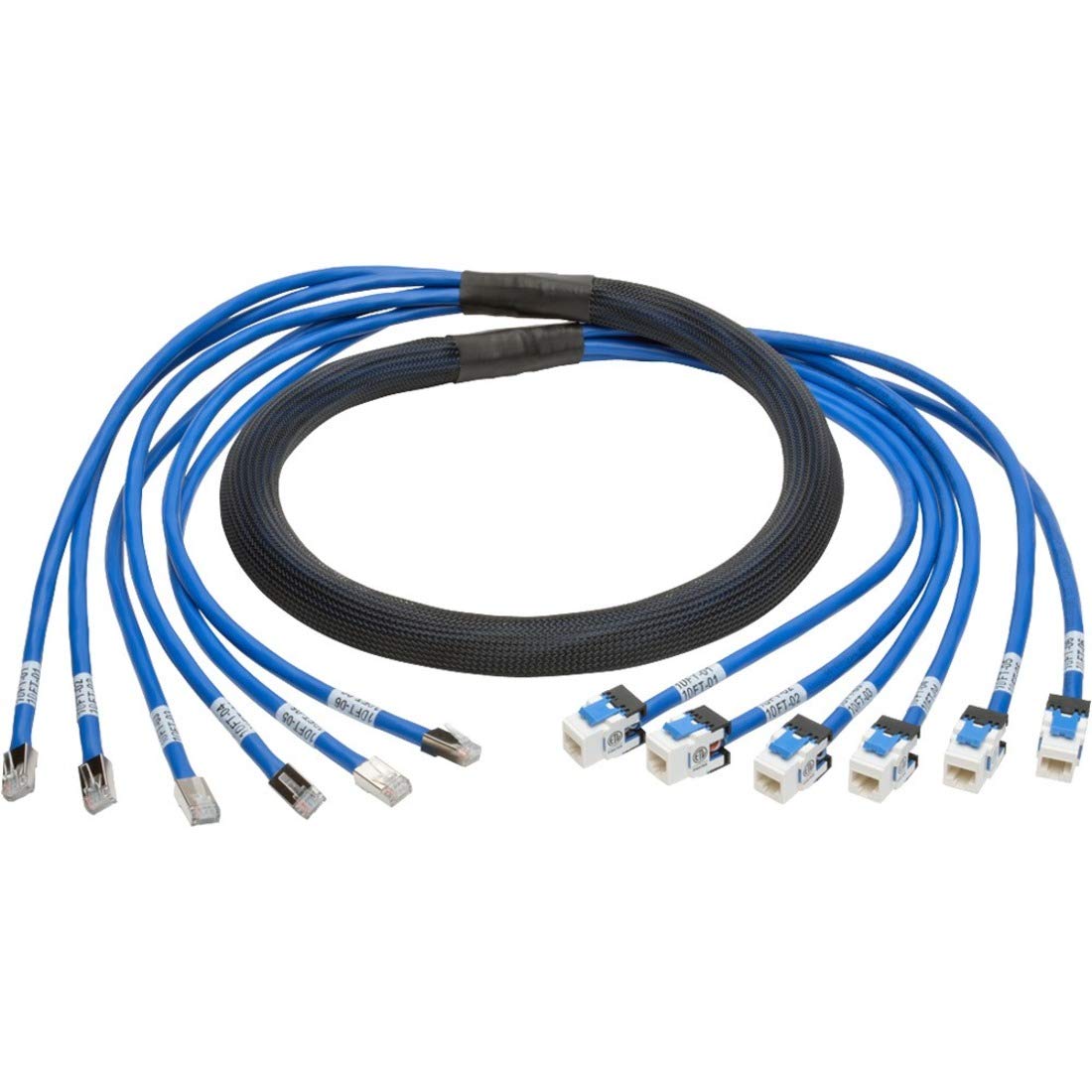 Tripp Lite Augmented Cat6/Cat6A Pre Terminated Copper Trunk Bundle, (6X) Rj45 (M/F), 10 Ft. (N261 010 6Mf Bl)