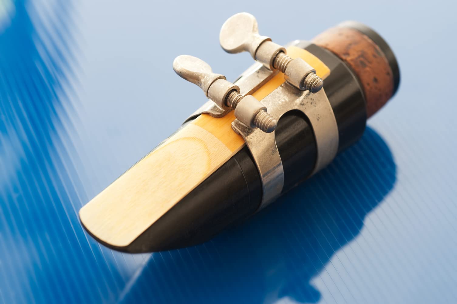 Suewio Bb Clarinet Traditional Reeds, Strength 2.5, 10 Pack With Portable Case