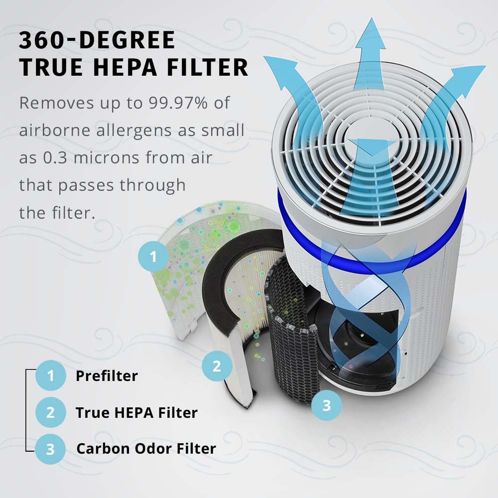 Homedics Totalclean 3 In 1 Hepa Type Air Purifier Filter Replacement, Works With Homedics Ap T30 And Ap T30Wt Air Purifiers, Cap