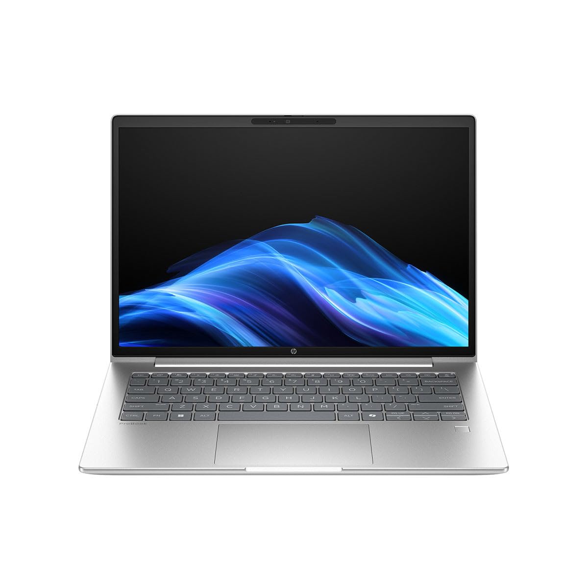 HP ProBook 4 G1a 14 Notebook - WUXGA - AMD Ryzen 5 230-16 GB - 256 GB PCIe NVMe SSD - English Keyboard - Pike Silver - AMD Chip
