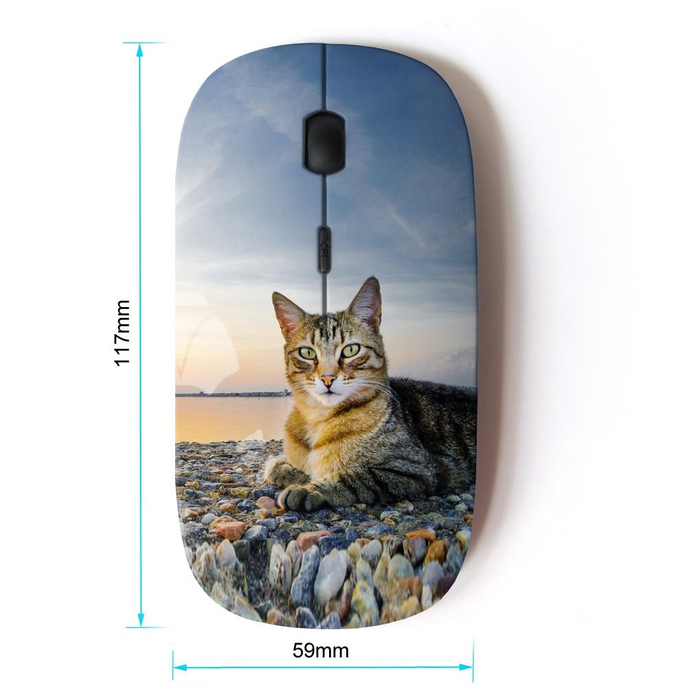 Koolmouse [ Optical 2.4G Wireless Mouse [ House Cat Nature Sunset Shorthair British ]