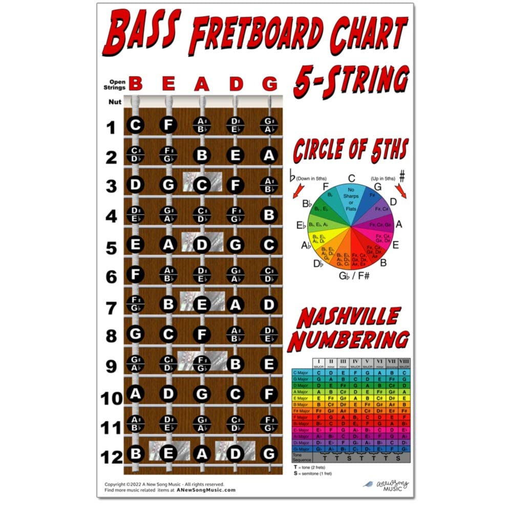 A New Song Music 5 String Bass Fretboard Poster   Nashville Numbering System, Circle Of 5Ths, Notes Instructional Chart 11X17