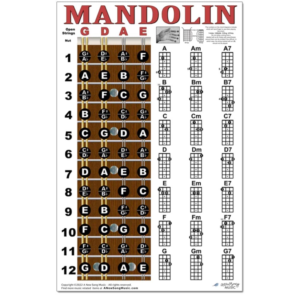 Mandolin Classic Style Easy Chord & Fretboard Note Chart Instructional Poster For Beginners Chords & Notes A New Song Music 11X1