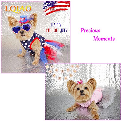 Lqiao 4X7Ft Silver Sequin Photo Backdrop, Wedding Photo Booth,Photography Background,Ceremony Background, Pocket 4X7Ft(125X215Cm