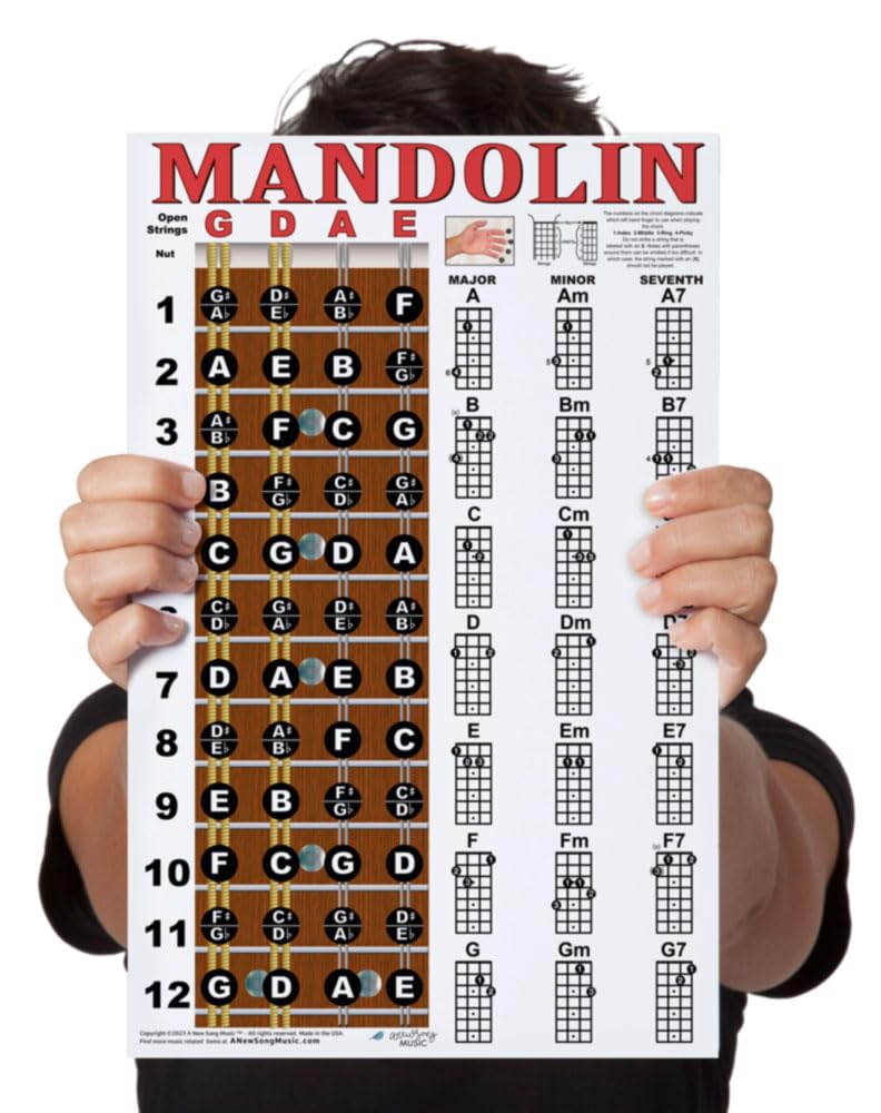 Laminated Mandolin Fretboard Notes & Easy Beginner Chord Chart 11x17 Instructional Poster by A New Song Music