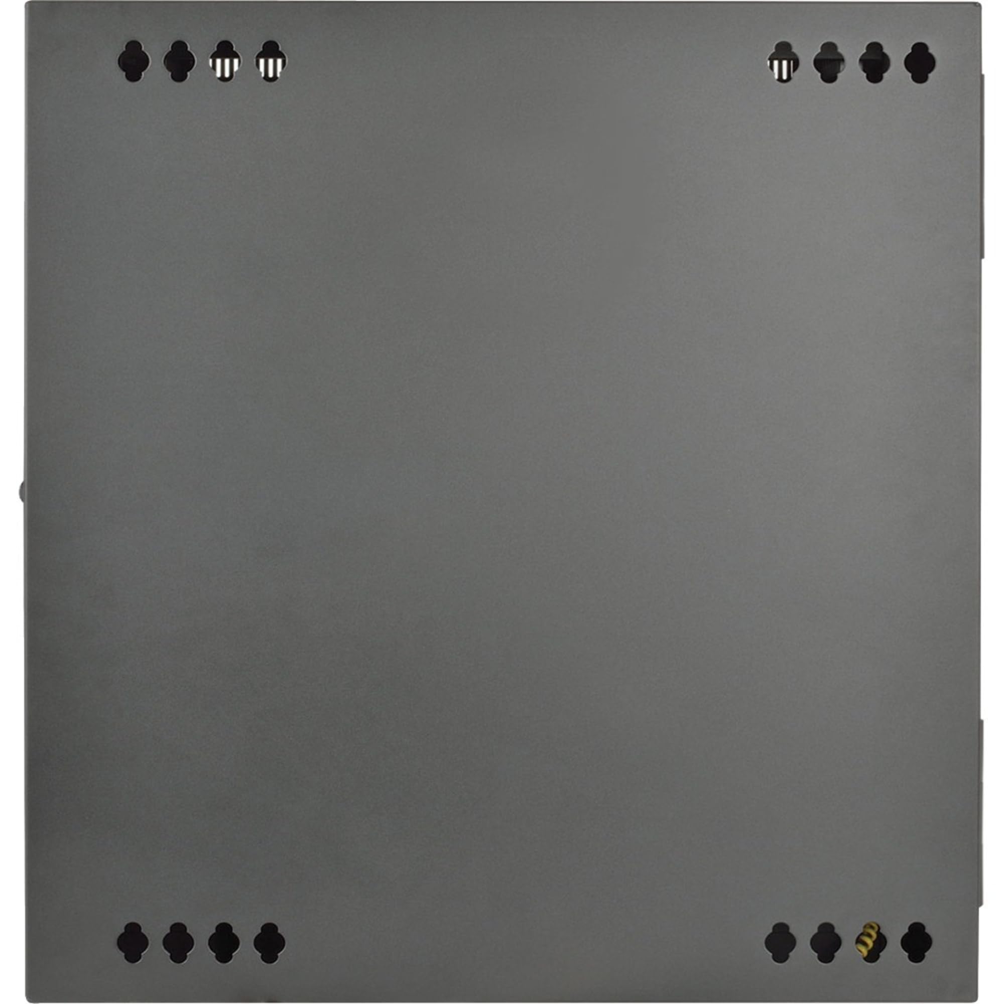 Tripp Lite 12U Wall Mount Rack Enclosure Server Cabinet, Hinged Back, 24.5 In. Deep, Ups-Depth (Srw12Usdp)