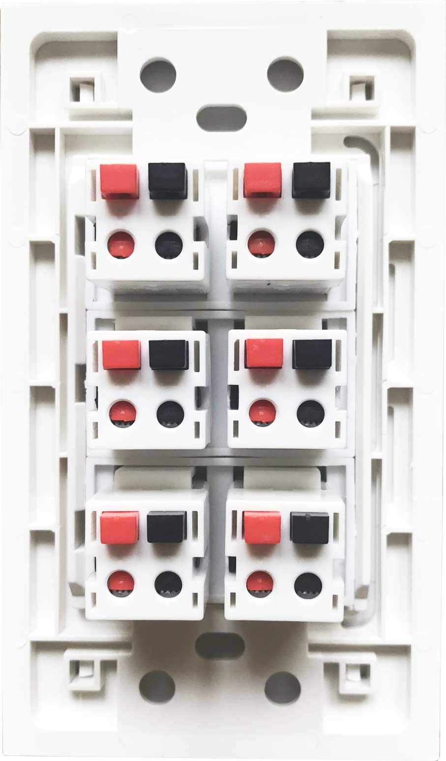 Diytech Premium 6 Speaker Wall Plate, Speaker Plug, Supports 6 Speaker Configurations, Speaker Port For Wall Speaker Wire, Speak