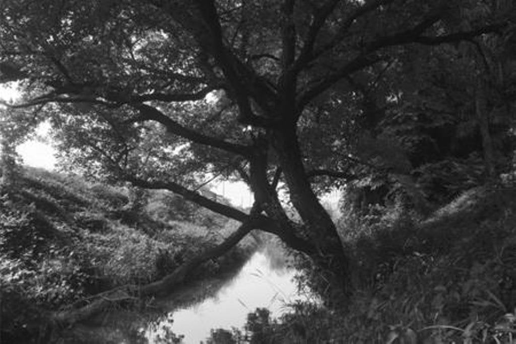 Hoya 67Mm Infrared R72 Filter (Y1Ir72067)