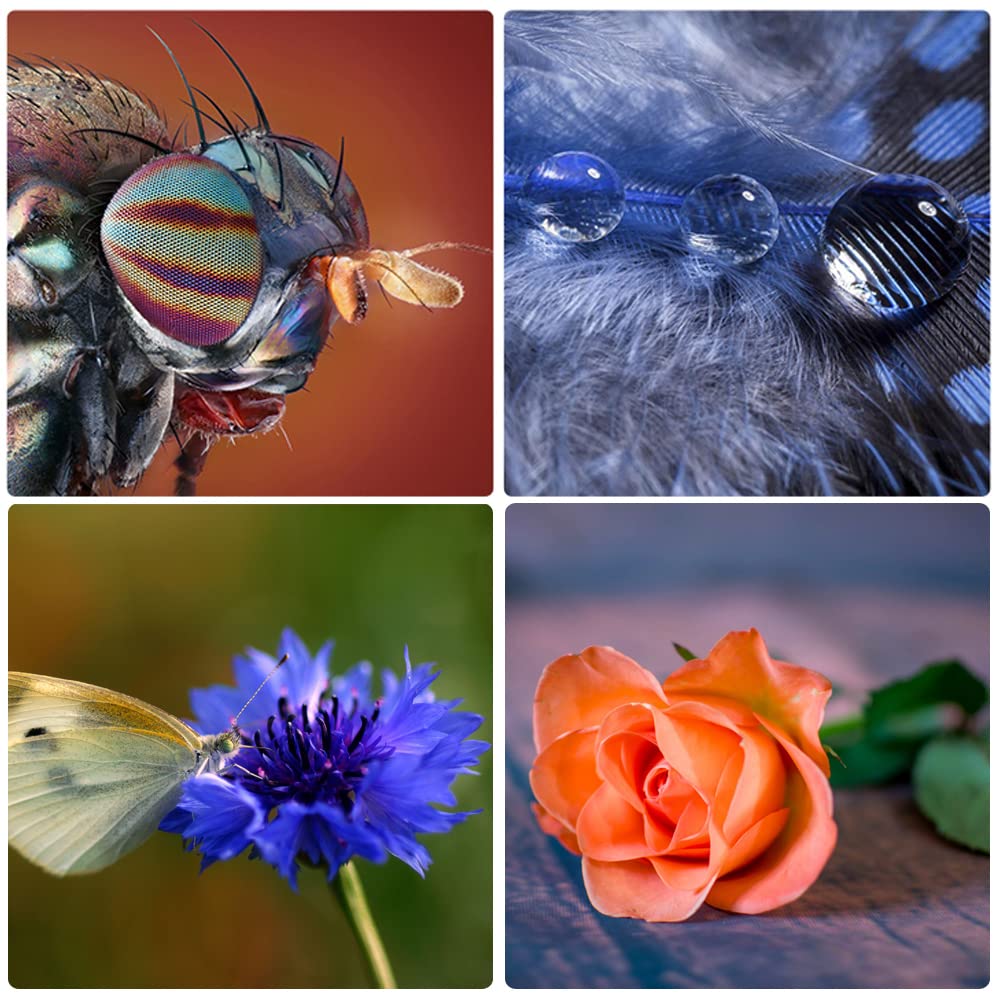 Mcoplus N Pa Metal Auto Focus Macro Extension Tube Set For Nikon Dslr Cameras D7200 D7100 D5600 D5300 D5200 D5100 D3400 D3300 D3