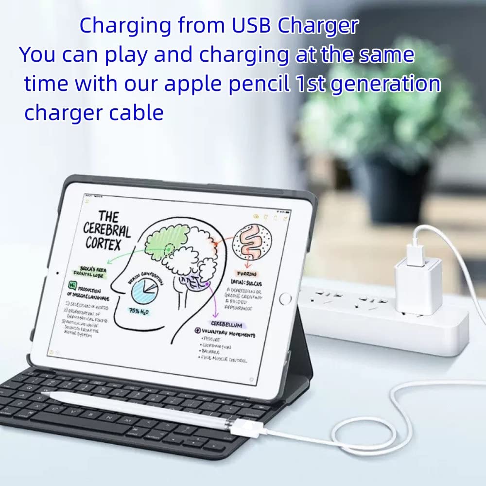 Design For Apple Pencil Charger,Apple Pencil Adapter 1Ft, Ipencil Pen First Gen Charging Cable Compatible With Apple Pencil 1St