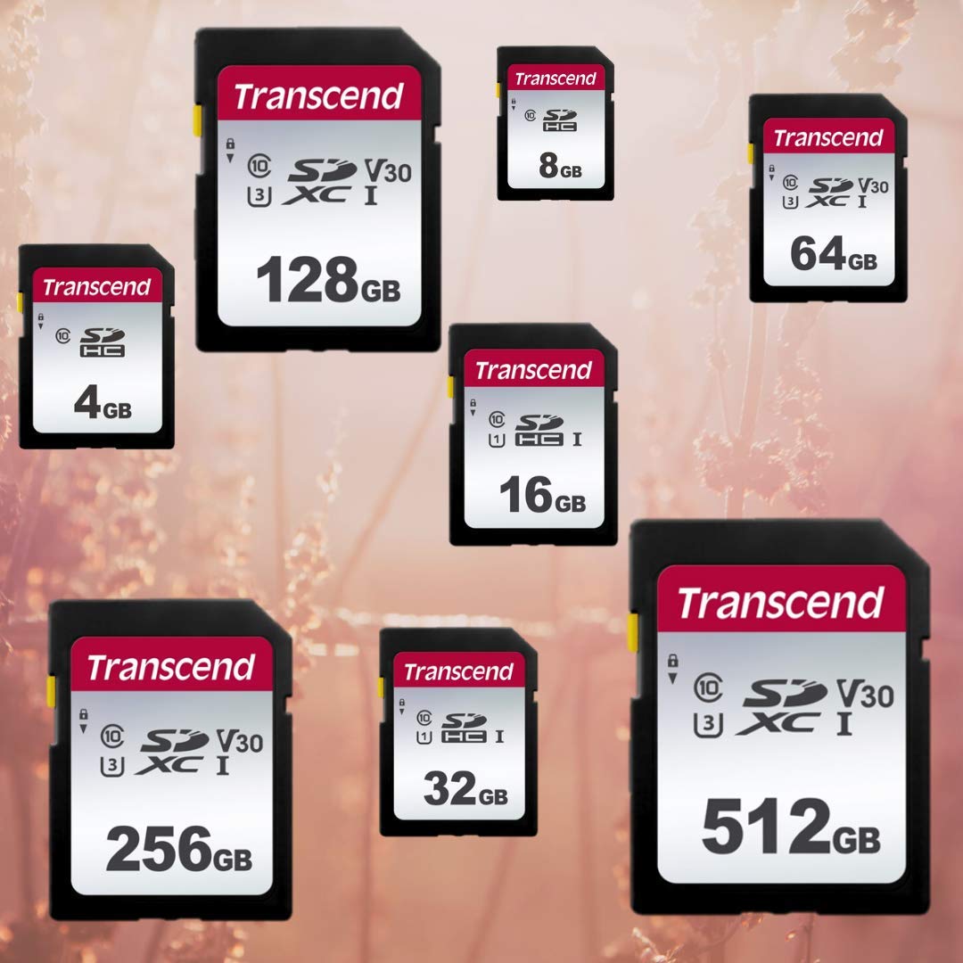 Transcend 4GB 300S(SD Card), Memory Card, SD Card, Class 10   TS4GSDC300S