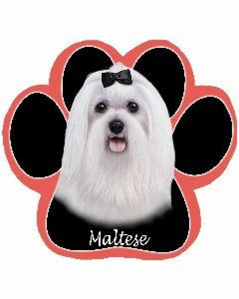 Maltese Dog Paw Non-Slip Mousepad