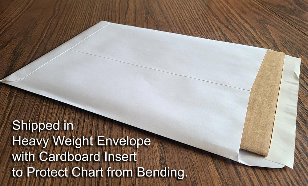 Laminated 4 String Bass Fretboard Notes Chart Nashville Number System & Circle Of 5Ths Easy Instructional Poster For Beginner Fo