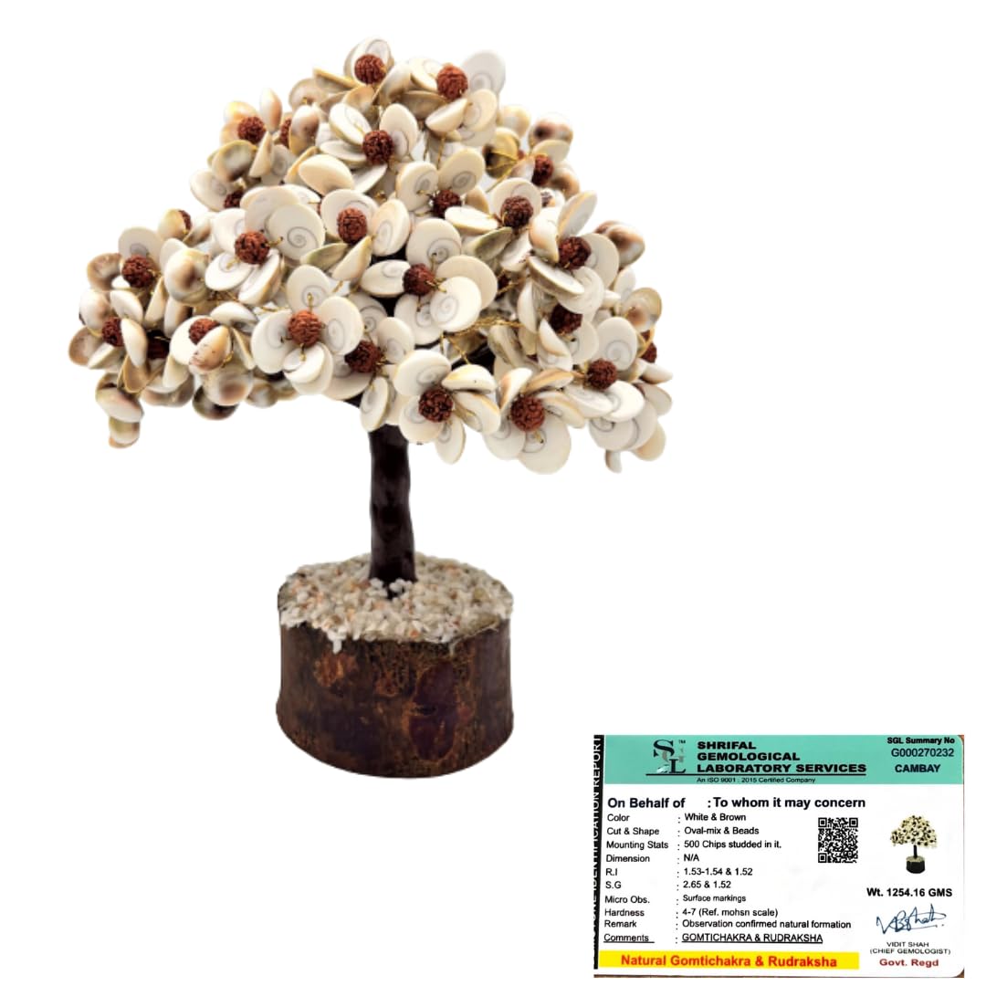 GOLDEN QUARTZ  THE CRYSTAL HUB  Certified Gomti Chakra + Rudraksha Tree with Certificate Natural Gomti Beads for Good Health,