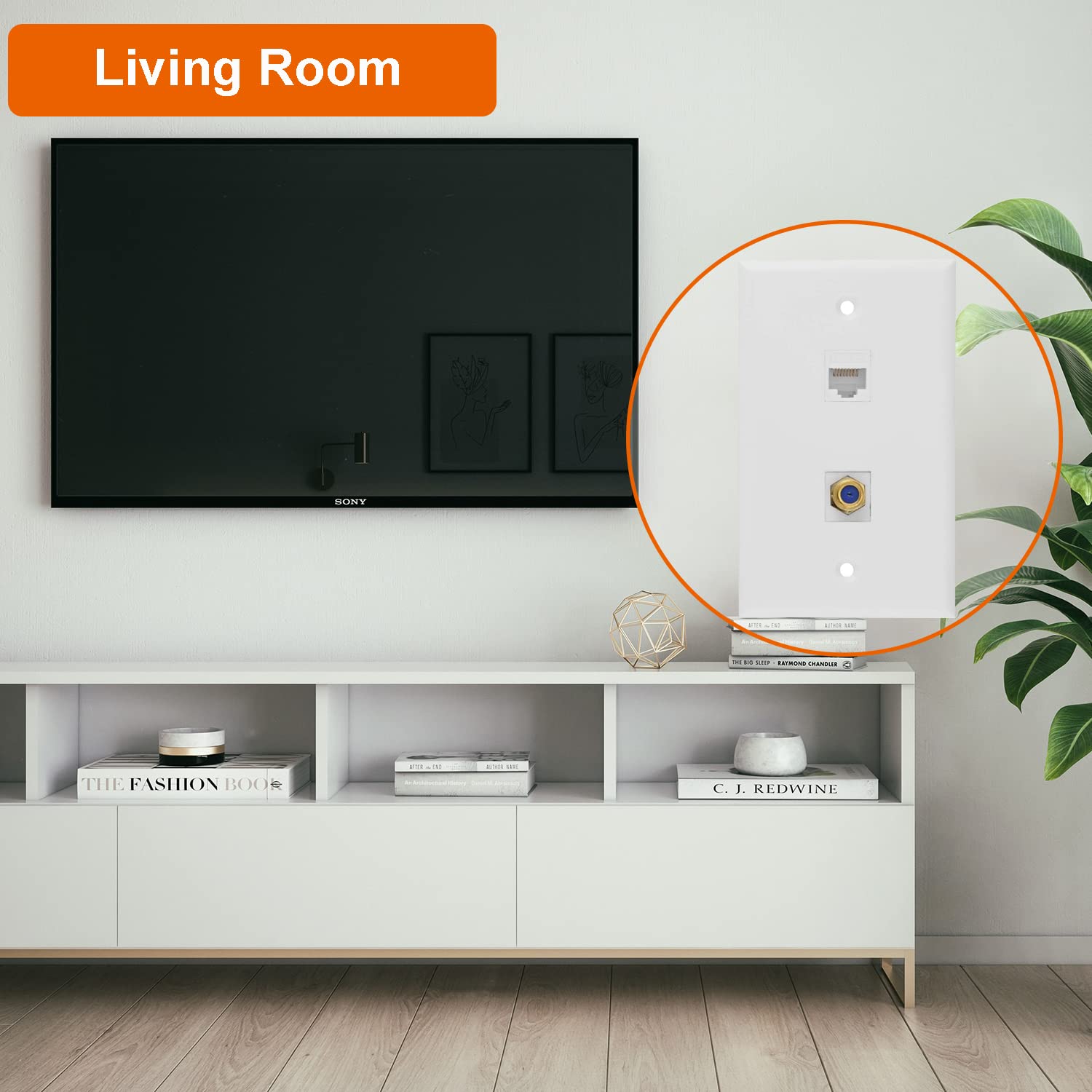 Ethernet Coax Wall Plate, 1 Port Cat 6 Rj45 Keystone And 1 Port Tv Coax F Type Keystone Wall Plate