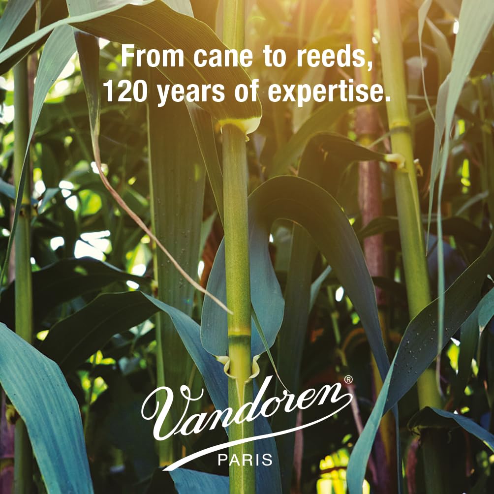 Vandoren Sr6025 Soprano Sax V.12 Reeds Strength 2.5; Box Of 10