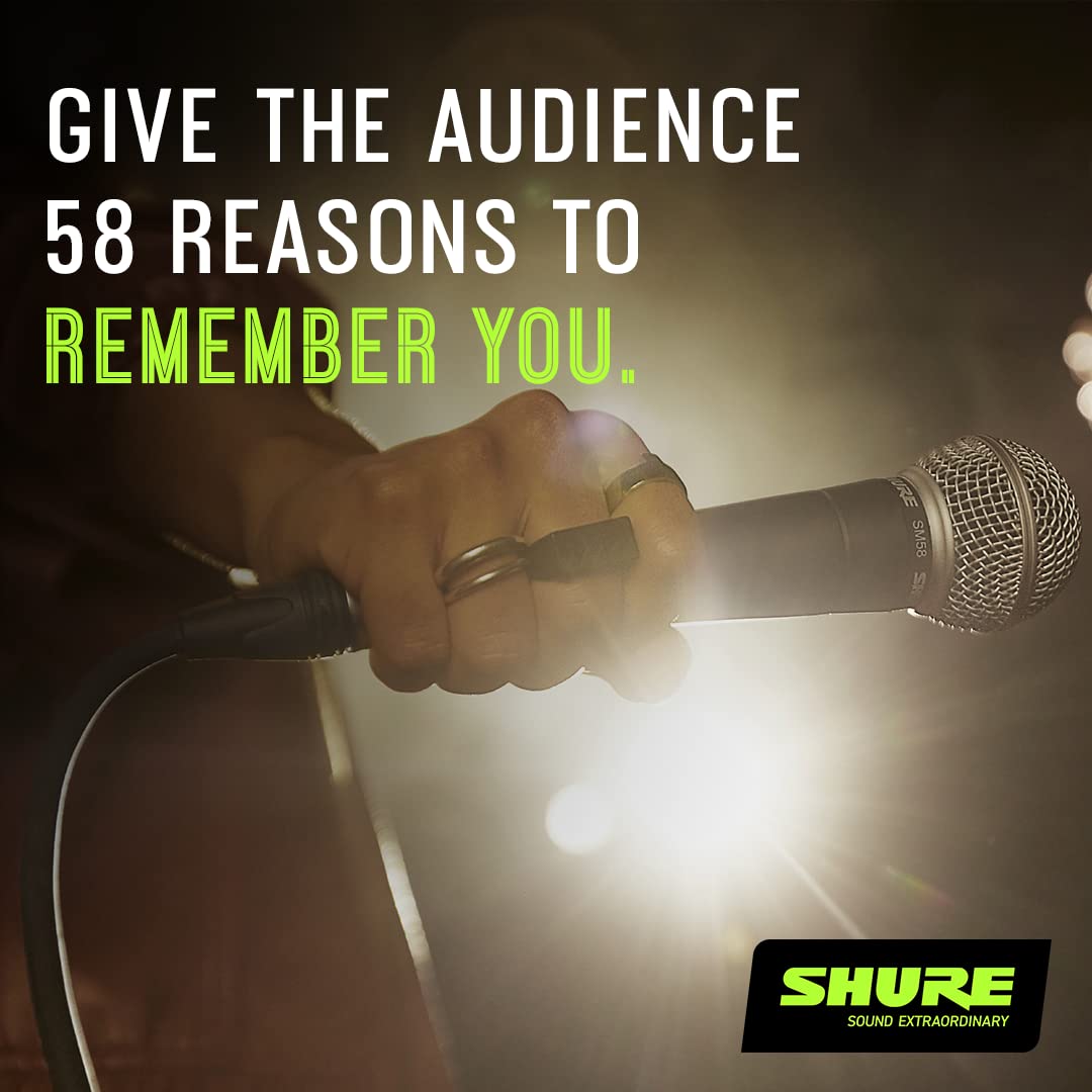 Shure Sm58 Pro Xlr Dynamic Microphone Stage Performance Kit With 15 Foot Xlr Xlr Cable, Stand, A25D Clip And Bag   Professional