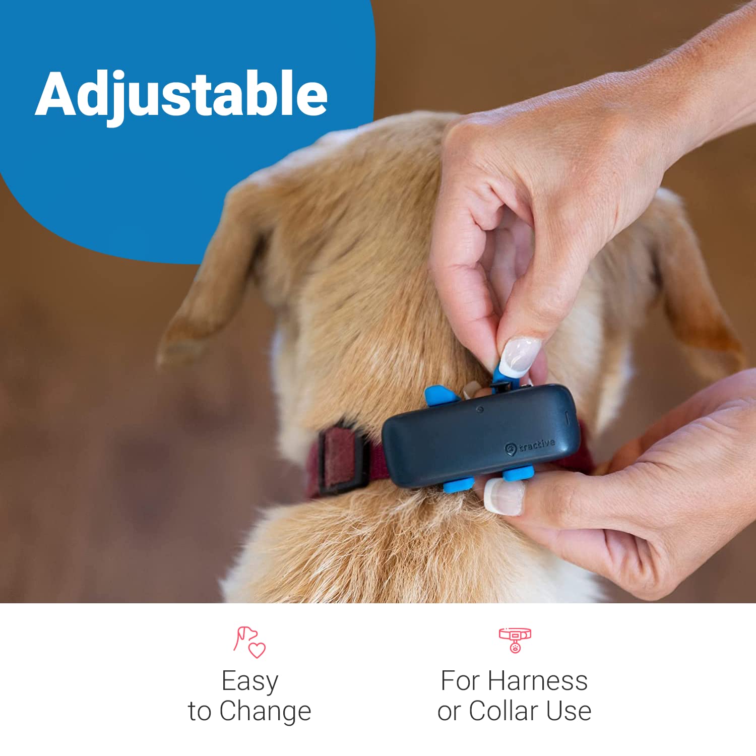 Tractive Gps Dog Tracker Rubber Attachment Clips (Pack Of 3), Blue, 2.8 Cm