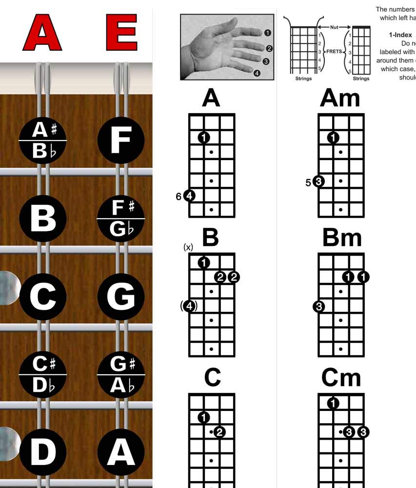 Mandolin Classic Style Easy Chord & Fretboard Note Chart Instructional Poster For Beginners Chords & Notes A New Song Music 11''
