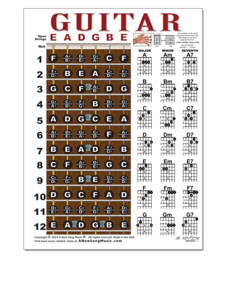 Laminated Guitar Fretboard & Chord Chart   Easy Instructional Poster For Beginner 8.5''X11'' | A New Song Music