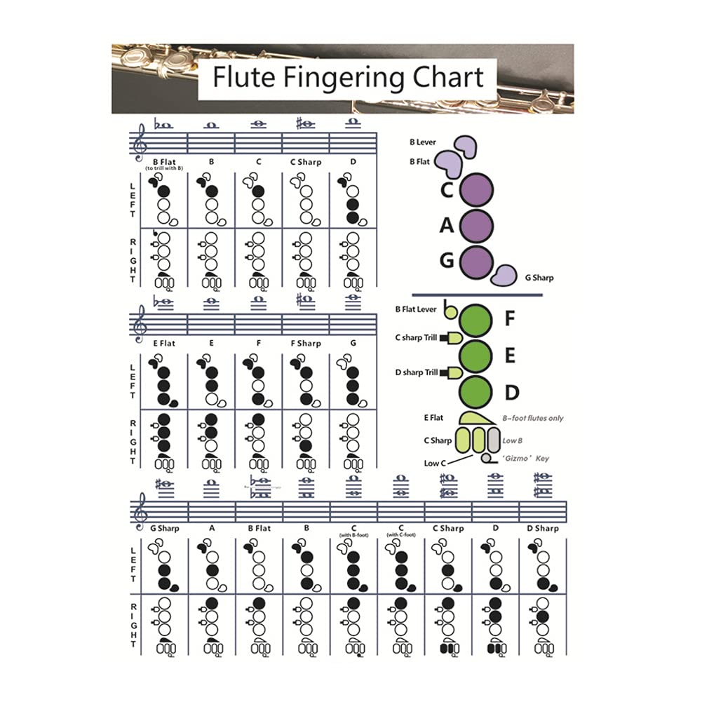Sycooven Flute Chord Chart, Portable Durable Flute Fingering Chart, White Chord Chart For Flute Fingering Practice, Chord Chart