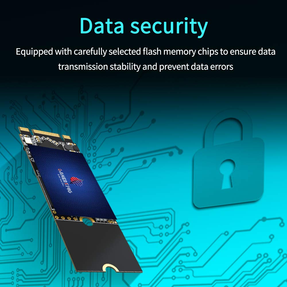 Gamerking 256Gb M.2 2260 Sata Iii 6Gb/S Ssd Internal High Performance Solid State Drive For Desktop Laptop