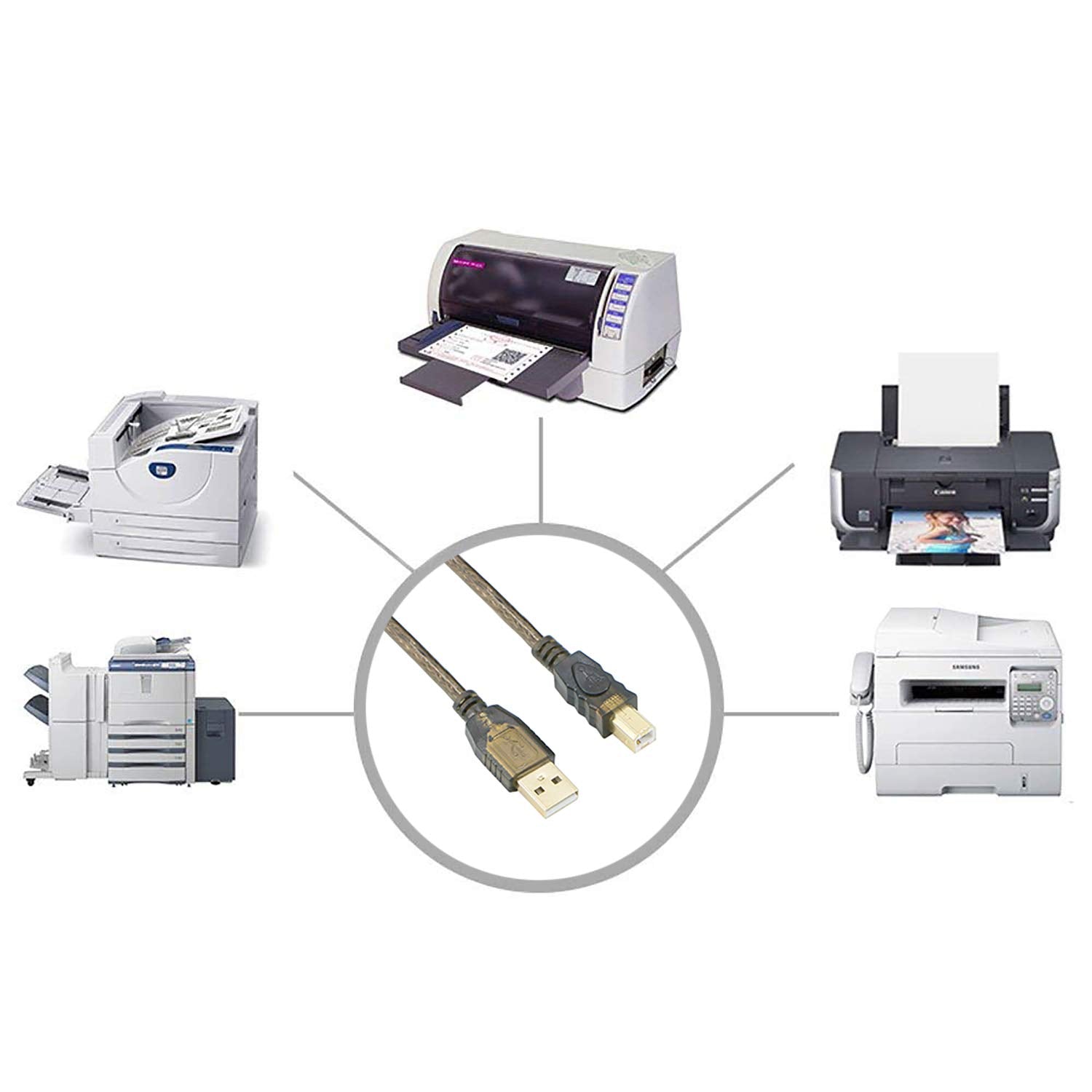 Pasow Usb 2.0 Cable A Male To B Male Cable For Printer Scanner (50 Feet)