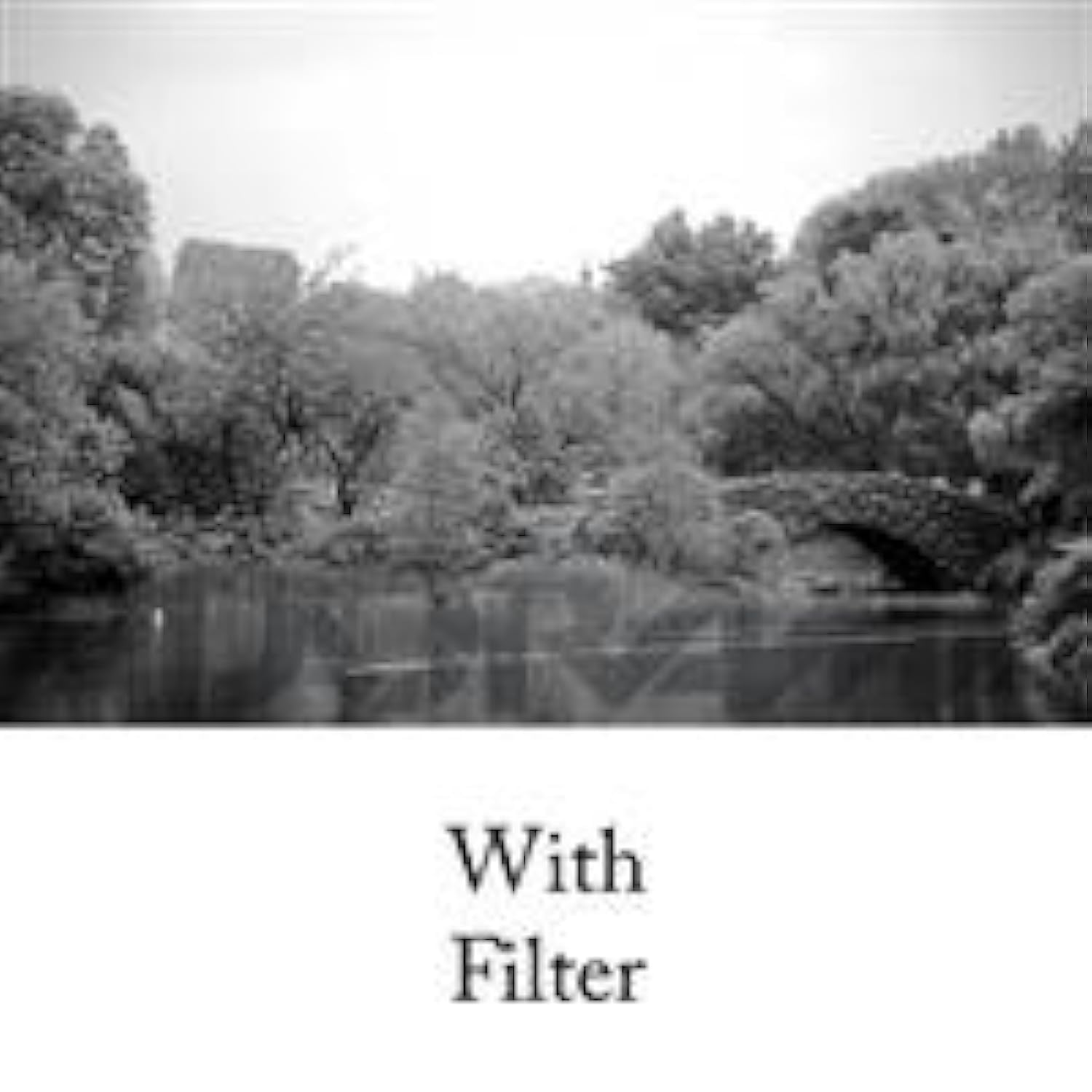 Tiffen 62mm 21 Orange Optical Glass Photographic Filter