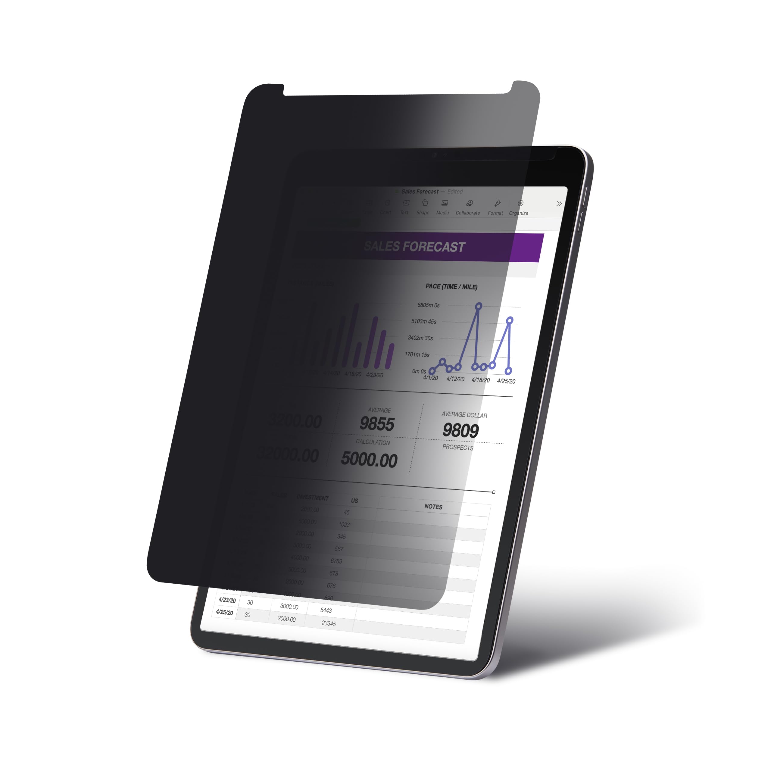 12.9 iPad Pro Privacy Screen