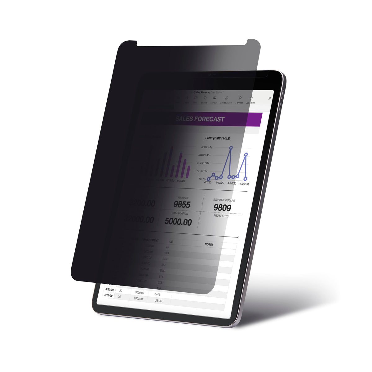 12.9'' Ipad Pro Privacy Screen