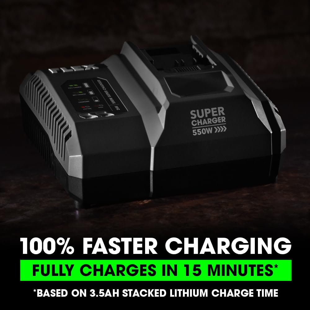 Flex 24V 550W Lithium Ion Battery Super Charger   Fx0431 Z