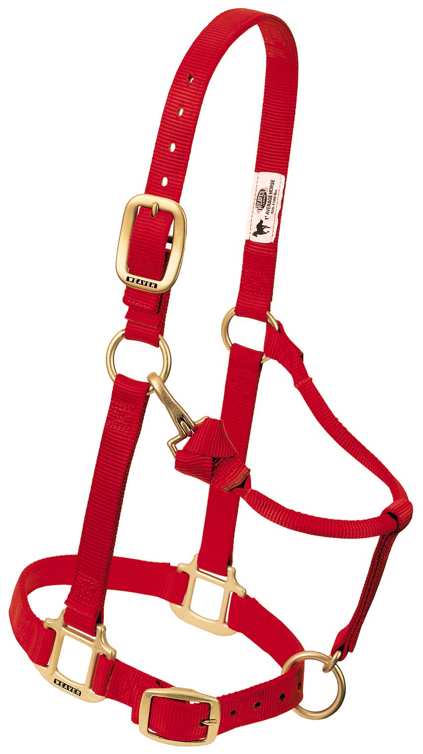 Weaver Leather Original Adjustable Nylon Horse Halter, Suckling, Red