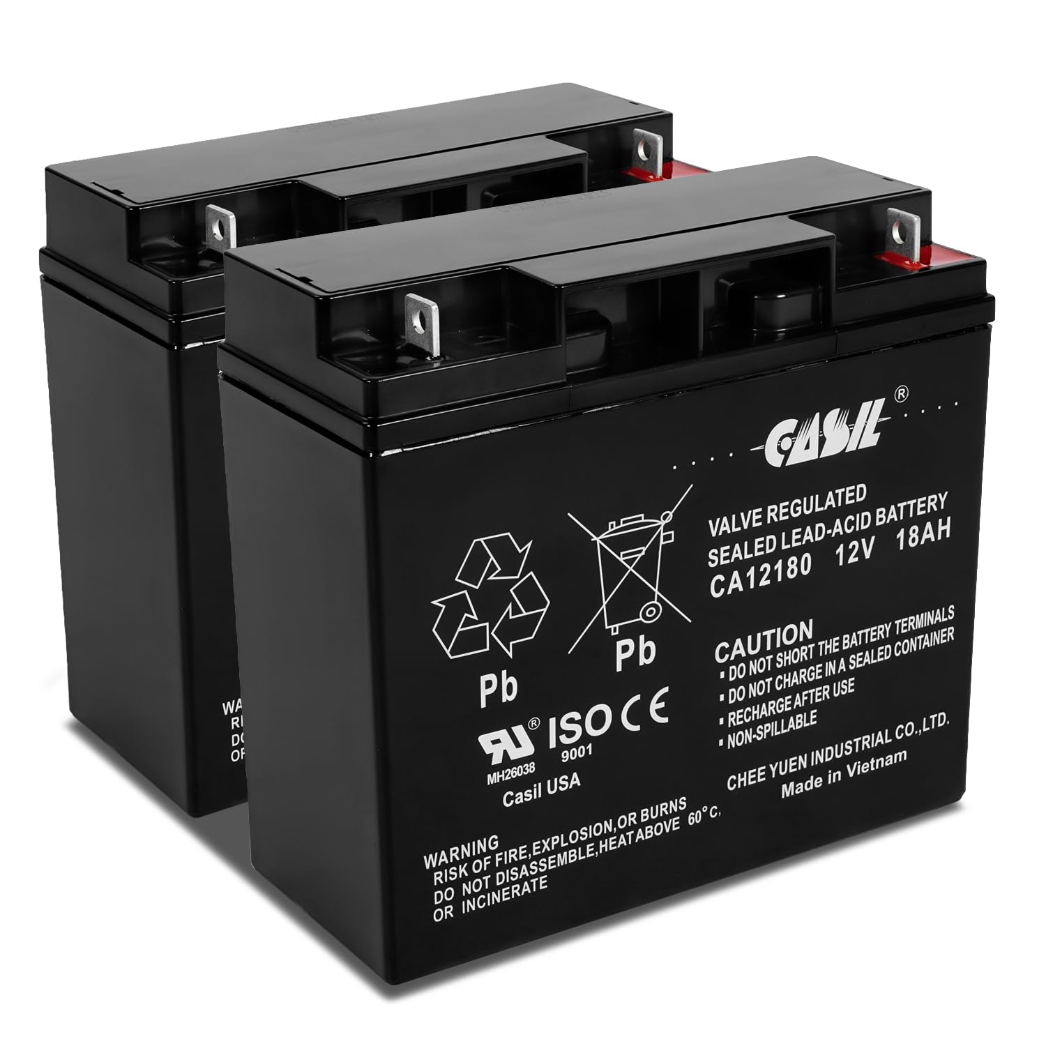 Casil 12V 10Ah Replacement Battery Compatible with Long WP10-12SE 2 Pack